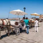 chania-05-2019-28