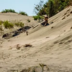 elafonisi-island-04
