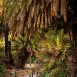 preveli-2