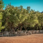 preveli-20