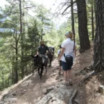 samaria-gorge-18